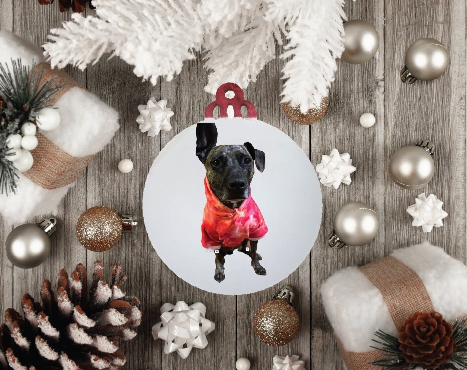 Custom Christmas Ornament - Merlscreations