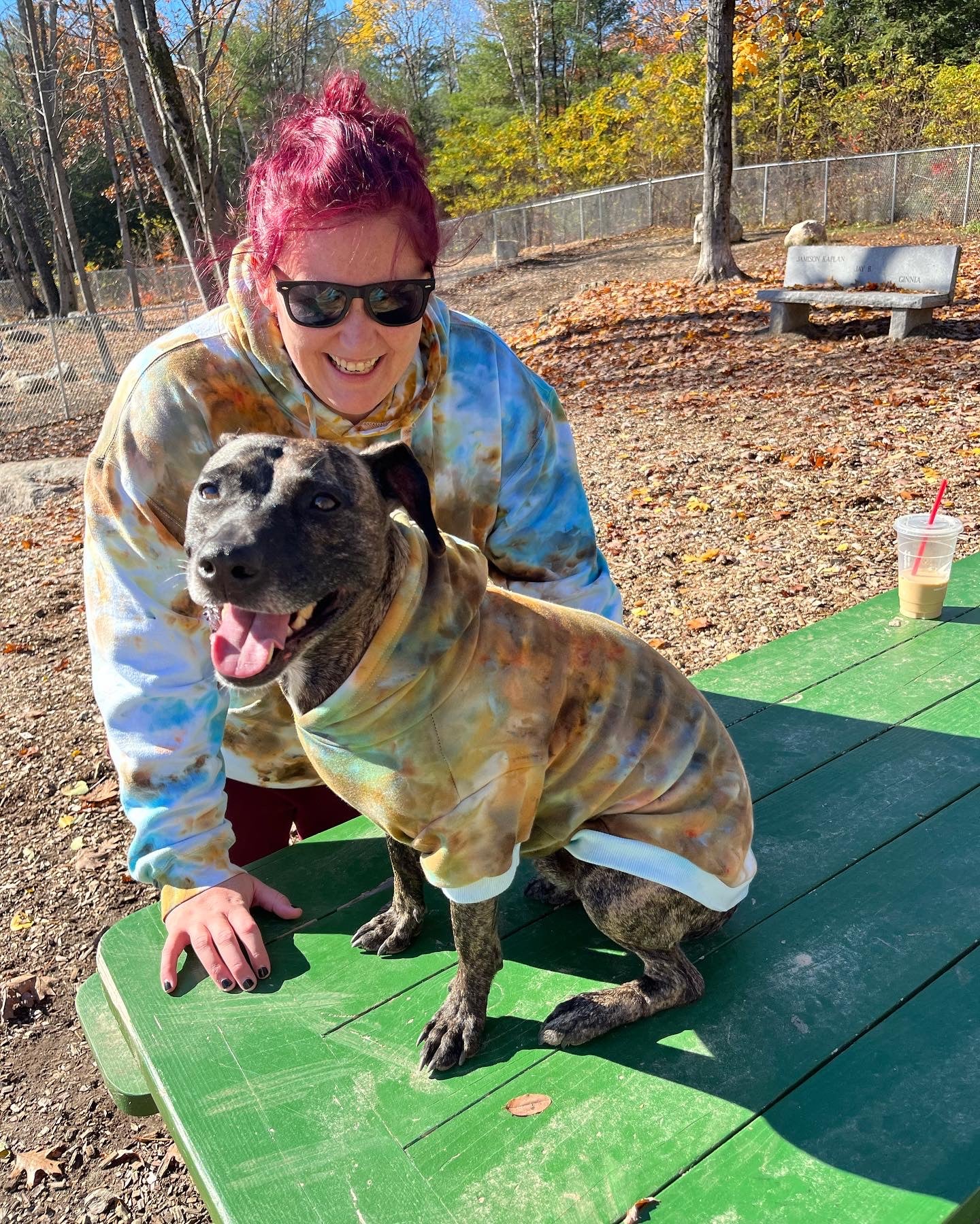 PRE-ORDER: MATCHING Hooman hoodie with DOG hoodie - Merlscreations